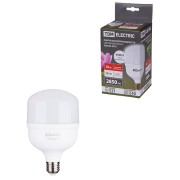 Лампа светодиодная T 30 Вт, 230 В, 6500 К, E27 (100x165 мм) TDM