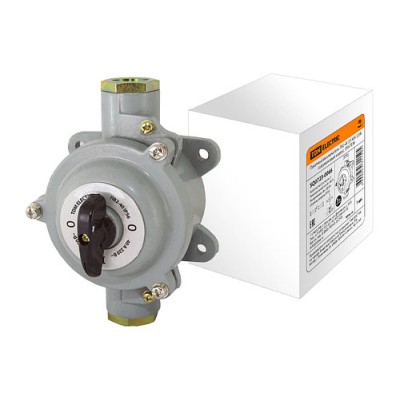 Пакетный выключатель ПВ2-40 2П 40А 220В, силуминовый корпус, IP56 TDM Пакетный выключатель ПВ2-40 2П 40А 220В, силуминовый корпус, IP56 TDM