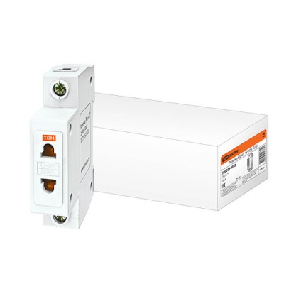 Розетка РД-47 1Р 10А TDM Розетка РД-47 1Р 10А TDM