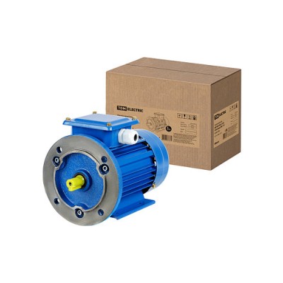 Электродвигатель АИР 56A4 3ф 0,12 кВт 1500 об/мин 2081 TDM Электродвигатель АИР 56A4 3ф 0,12 кВт 1500 об/мин 2081 TDM