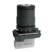Переключатель OptiSignal D22 C5-SK-21 с ключем 2 поз пластик 1НО XB5AG21 332184