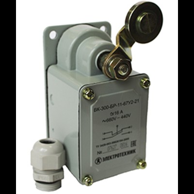 Выключатель концевой ВК-300-БР-11-67У2-21 1з+1р IP67 Электротехник ET051925 Выключатель концевой ВК-300-БР-11-67У2-21 1з+1р IP67 Электротехник ET051925