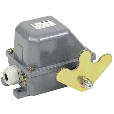 Выключатель концевой КУ-704 У1, W- образный рычаг, 10А, IP44, 2 эл. цепи, IEK KV-1-704-1 Выключатель концевой КУ-704 У1, W- образный рычаг, 10А, IP44, 2 эл. цепи, IEK KV-1-704-1