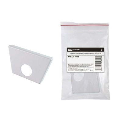 Заглушка торцевая с отверстием SYS 4651 TDM Заглушка торцевая с отверстием SYS 4651 TDM