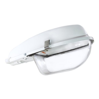 Светильник РКУ 97-250-002 со стеклом TDM Светильник РКУ 97-250-002 со стеклом TDM