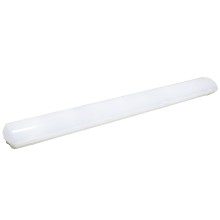 Светильники светодиодные серии LED ДСП 1200