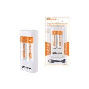 Зарядное устройство 3022Н (300 mA 2 слота АА/ААА 1 кан.+2xAA2500 USB) TDM